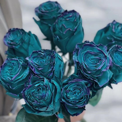 Seltene Smaragd Oz Rosen Samen - Ein Juwel im Garten der Träume 💚🌹