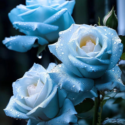 Gebrochenes Eis Blaue Rosen Samen - Seltenheit ❄️🌹