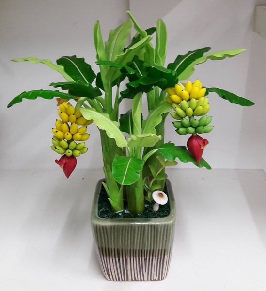 30 Stück Zwergbananensamen - Tropische Bonsai für Ihren Balkon! 🎉🌴