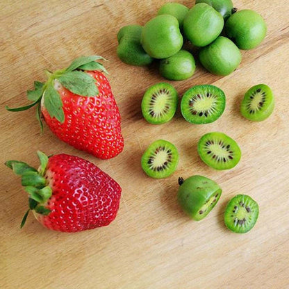 Mini Kiwi Beeren Samen - Jetzt erhältlich! 🥝🌱