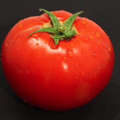 Garden Treasure Tomaten - Schätze aus Ihrem eigenen Garten! 🍅🌱