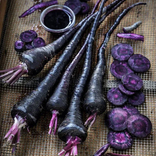 PUSA ASITA BLACK CARROT Samen - Genießen Sie das Besondere mit schwarzen Karottensamen! 🥕🖤
