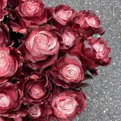 🌹🌼 Garten der Träume mit seltenen Farbvarianten von Rosenblumensamen 🌼🌹