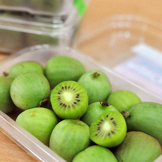 Mini Kiwi Beeren Samen - Jetzt erhältlich! 🥝🌱