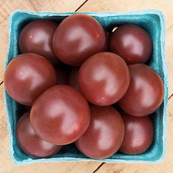 🍅 Indigo Rose Tomate - Seltene Gemüsegarten-Schönheit! 🌹