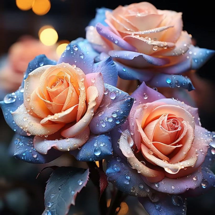 🌹✨ Zauberhafte Western Region Mandala Langaros Rose - Ein Blütenmeer der Magie! 🌸🪄